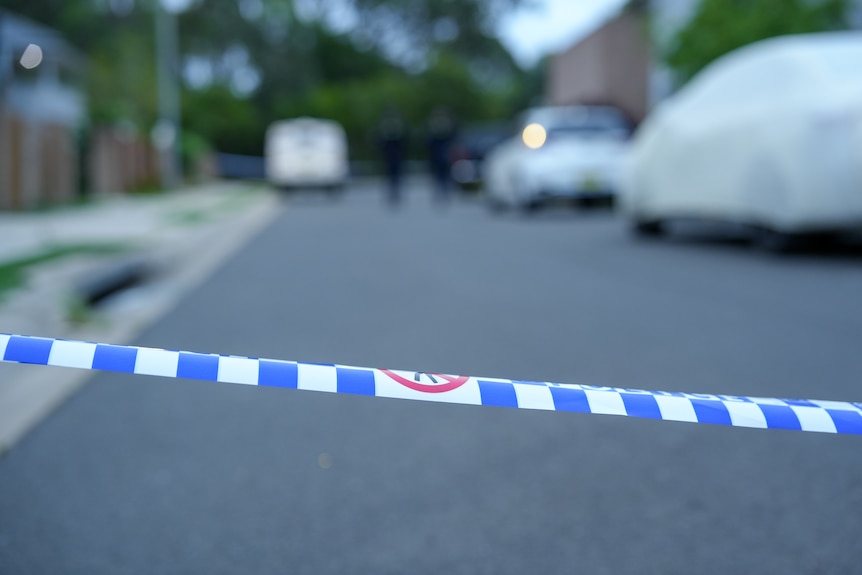 NSW | Taskforce Falcon Charges Man Over Alleged Fairfield West Gun Plot